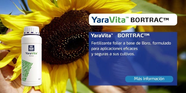 Yara Producto YaraVita BORTRAC fertilizante descripcion nutrientes foto girasol